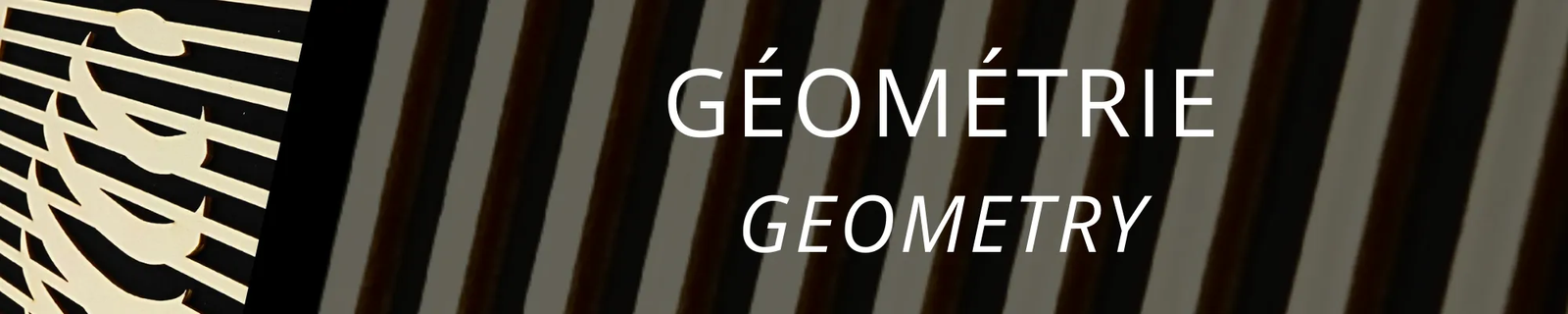 Geometry | Woodillusion