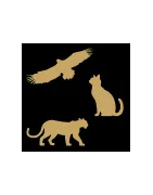 Animals