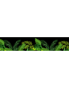 Leaves | Woodillusion